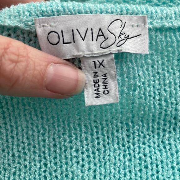 Olivia Sky NWT Women's 1X Boho Open Knit Long Sleeve V Neck Hi Lo Mint Sweater - Picture 7 of 11